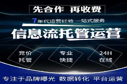 SEM代理的优化策略及成功案例